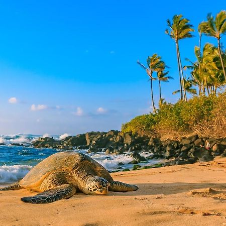 Hawaiian Monarch 801 Condo Гонолулу Экстерьер фото