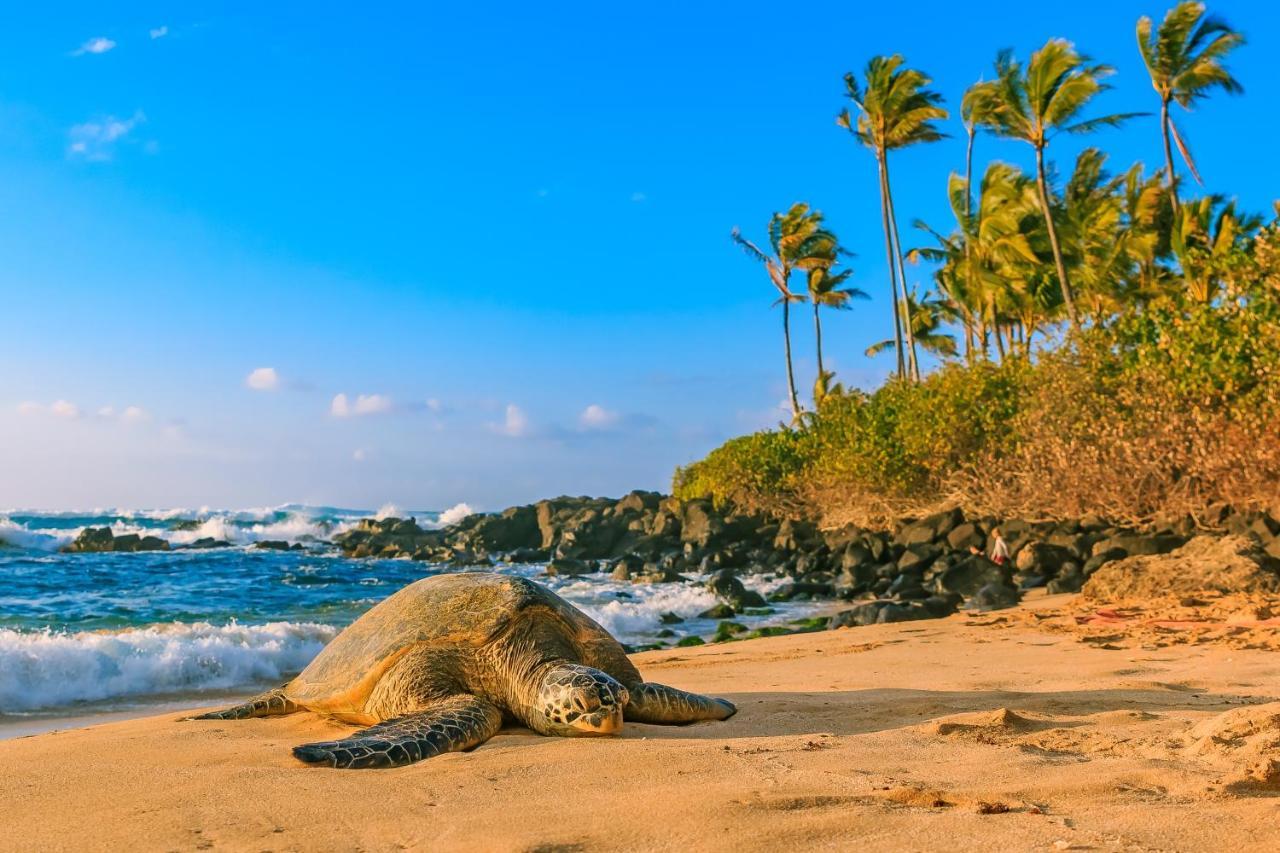 Hawaiian Monarch 801 Condo Гонолулу Экстерьер фото
